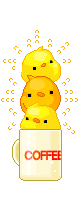 [ chicks ]